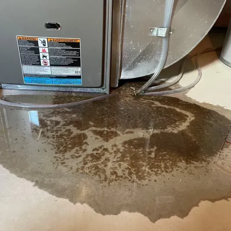 Appliance Leak Cleanup in Rolling Meadows, IL